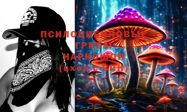 индика Абаза