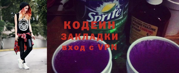 индика Абаза