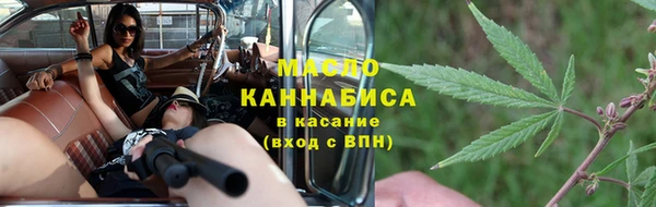 индика Абаза