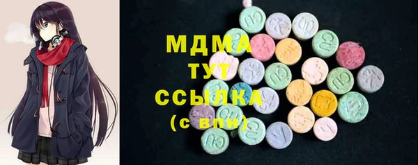 индика Абаза