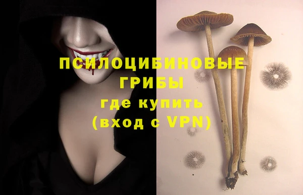 мет Абинск