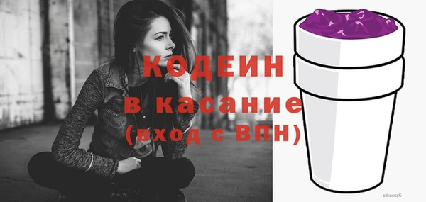 индика Абаза