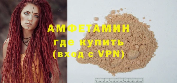 индика Абаза