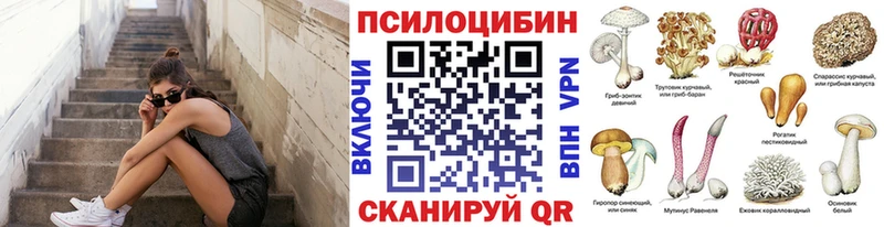 Галлюциногенные грибы мицелий Хасавюрт