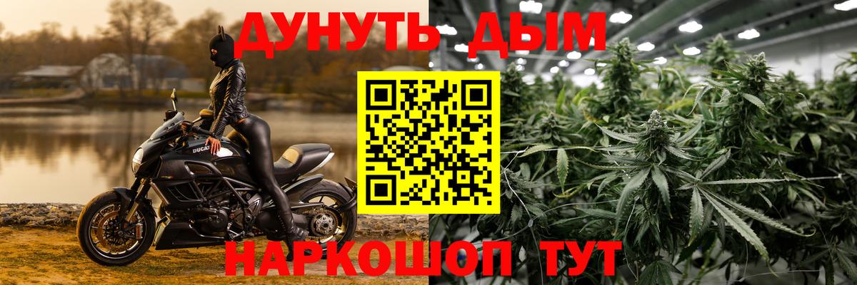 Каннабис конопля  Вход с VPN  Хасавюрт  Марихуана Amnesia  Каннабис гибрид 
